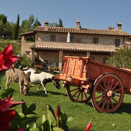 Farm Stay Il Carro Del Colle โกลเลวาเลนซา ภายนอก รูปภาพ