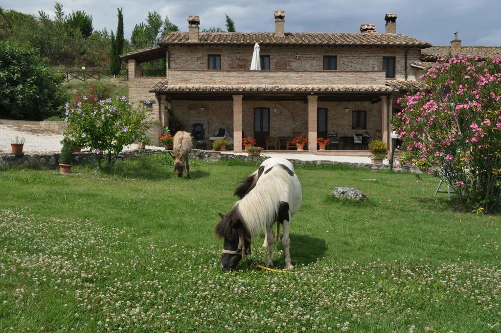 Farm Stay Il Carro Del Colle โกลเลวาเลนซา ภายนอก รูปภาพ