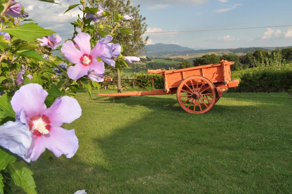 Farm Stay Il Carro Del Colle โกลเลวาเลนซา ภายนอก รูปภาพ