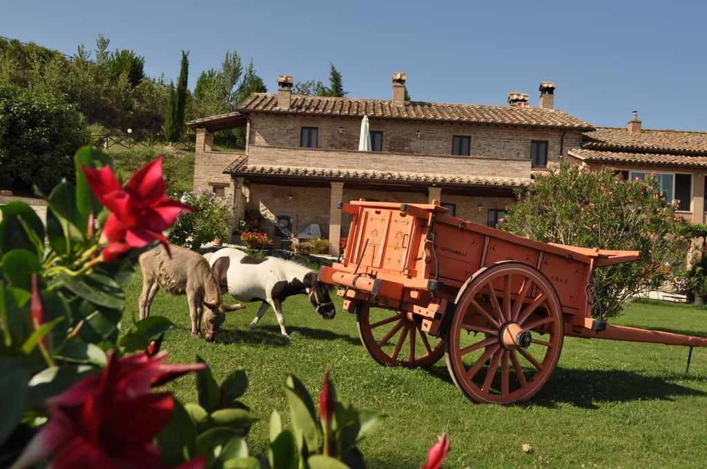 Farm Stay Il Carro Del Colle โกลเลวาเลนซา ภายนอก รูปภาพ