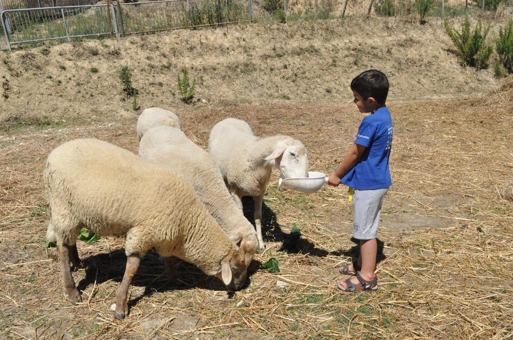 Farm Stay Il Carro Del Colle โกลเลวาเลนซา ภายนอก รูปภาพ