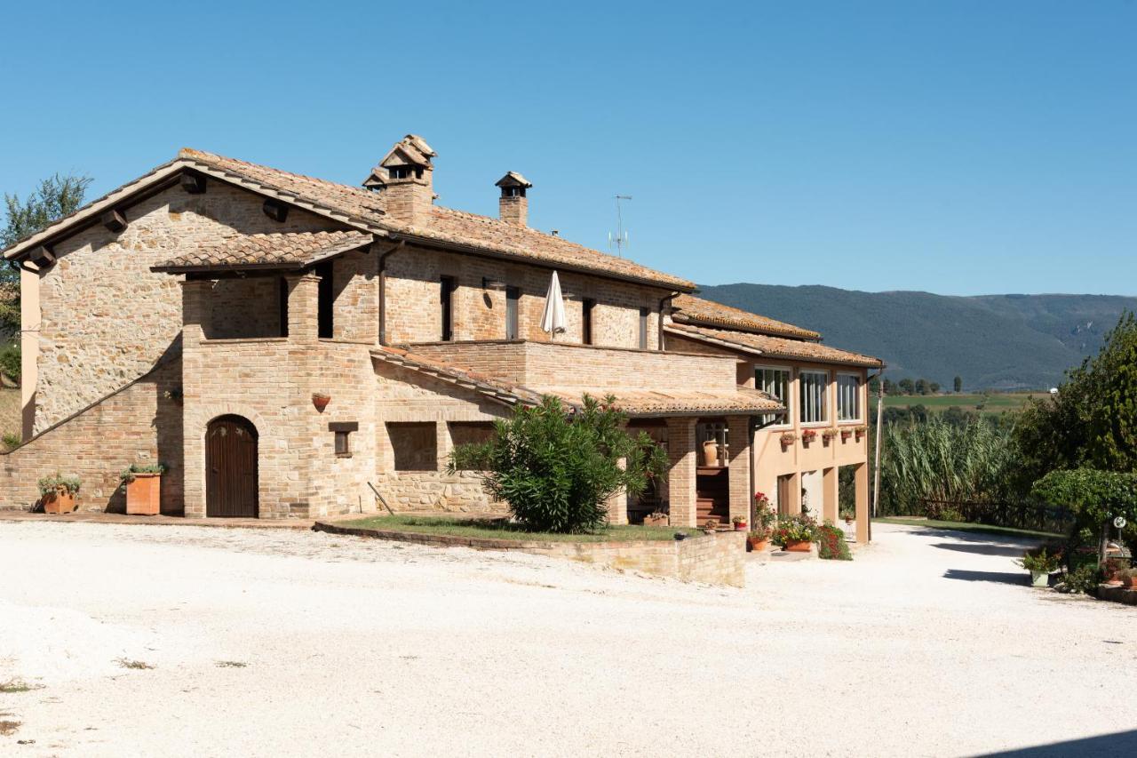 Farm Stay Il Carro Del Colle โกลเลวาเลนซา ภายนอก รูปภาพ