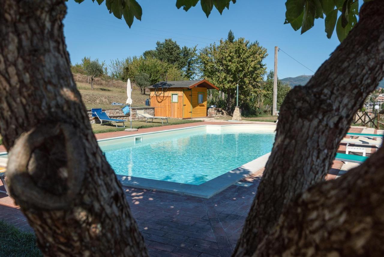 Farm Stay Il Carro Del Colle โกลเลวาเลนซา ภายนอก รูปภาพ