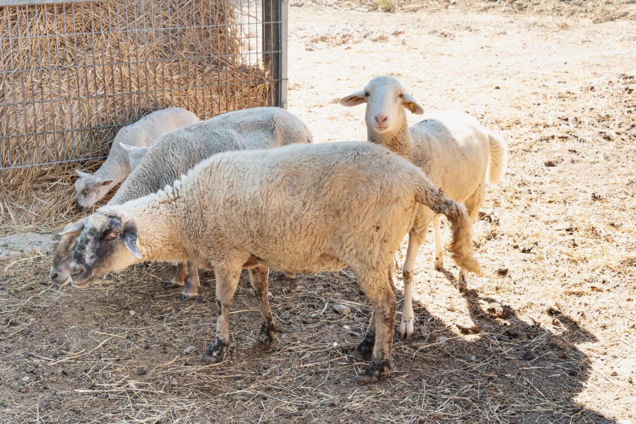 Farm Stay Il Carro Del Colle โกลเลวาเลนซา ภายนอก รูปภาพ